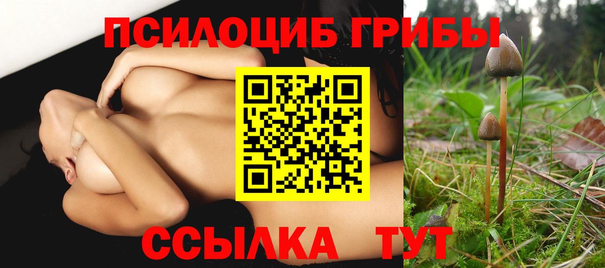 Щёкино  Псилоцибиновые грибы ЛСД  Вход с VPN 